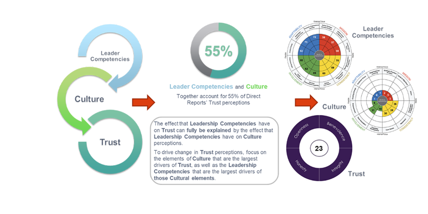 The Network Challenge (Chapter 4): Cross-Cultural Leadership in Networked Global Enterprises